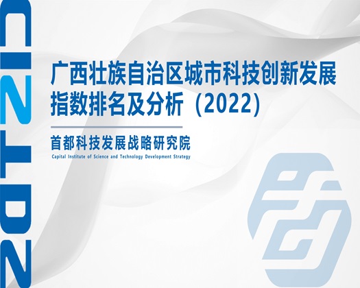 鸡吧艹啊艹久艹猛艹艹色色网【成果发布】广西壮族自治区城市科技创新发展指数排名及分析（2022）